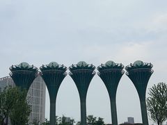 -徽园