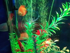 -常州海昌海洋探索馆