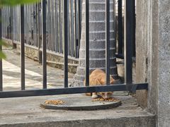 -猫岛主趣味餐厅(鼓浪屿店)