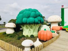 -上海都市菜园