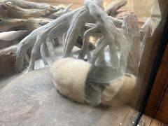 -宁波野生动物园