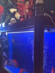 -T.1 hair salon烫染接发