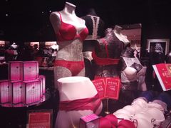 -Victoria's Secret(苏州中心全品类店)