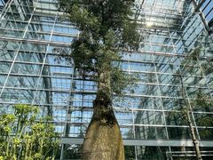 -南山植物园