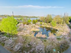 -南京城墙景区