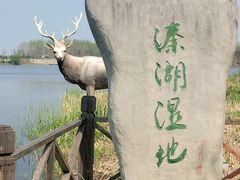 -溱湖国家湿地公园