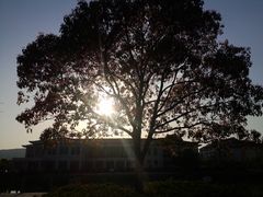 IMG20140404005-江南大学(蠡湖校区)