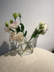-小梨·OndaPro·专业脱毛连锁机构