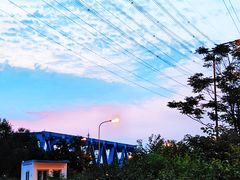 -东坝千亩湖公园