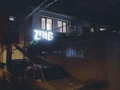 -ZING鲸鱼啤酒(葡萄院店)