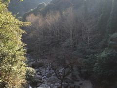 -花岩国家森林公园