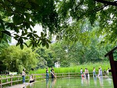 -成都市活水公园