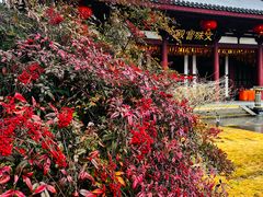 -我嘉书房(南翔名士居店)