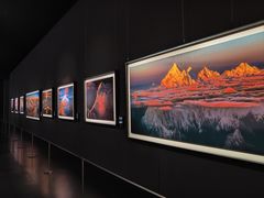 -罗红摄影艺术馆