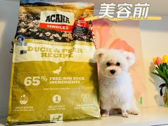 -BABIT巴比特宠物(MOMOPARK店)