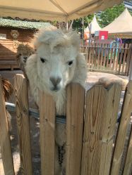 -萌宠亲子动物乐园(槐房万达店)