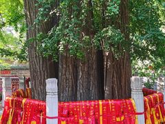 -潭柘寺景区