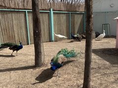 -水上乐园·欢乐世界