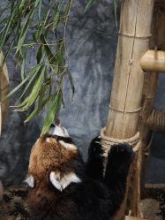 -Zoolung Zoolung动物主题公园(海信广场店)