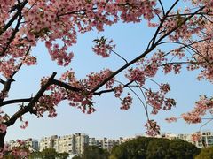 -新江湾城公园