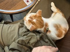 -Again Coffee Roaster(香蜜湖店)