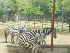 -西安秦岭野生动物园