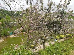 -广州市帽峰山景区