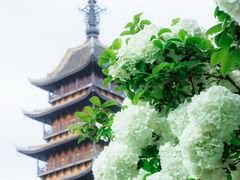 -常熟方塔园