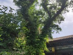 -湘子庙