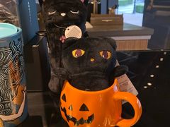 零售区-星巴克(北京惠新东街店)