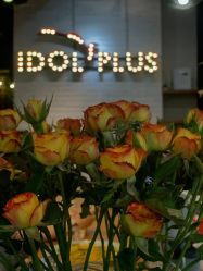 -IDOL-PLUS
