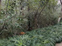 -赭山公园
