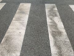 -都江堰中华大熊猫苑