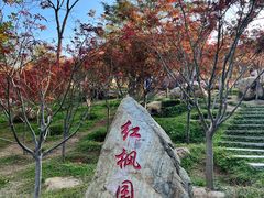 -广州市帽峰山景区