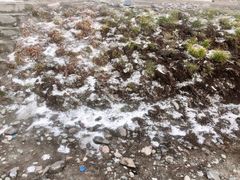-大冬树山垭口