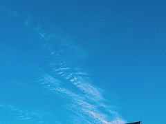 -春花秋色城市公园