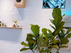 -喜茶(上海打浦桥日月光gelato lab+店)