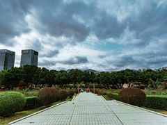 -紫马岭公园