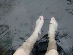 -三亚珠江南田温泉度假区