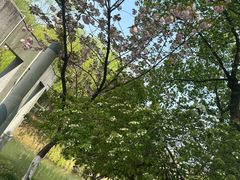 -桐乡植物园