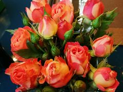 -上海虹桥宾馆味翠餐厅