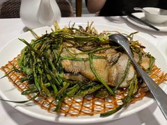 -新吉士·上海菜(浦东LCM置汇旭辉店)