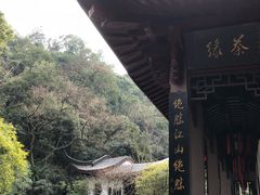 -十八棵（老龙井）御茶园(老龙井店)