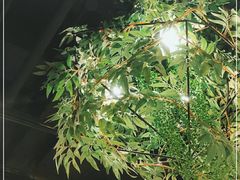 -肥佬大椰子鸡(三里屯3·3大厦店)