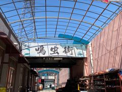 -中环花鸟鱼虫市场