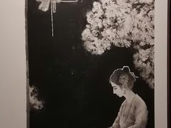 -江苏省美术馆(长江路新馆)