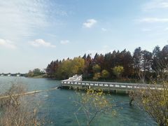 -贡湖湾湿地公园