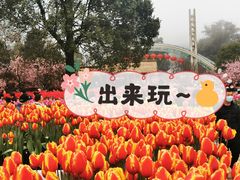-南山植物园