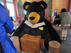 -济州岛泰迪熊博物馆