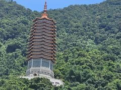 -深圳仙湖植物园
